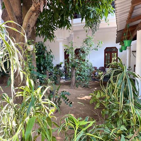 Arugambay Village Baía de Arugam Exterior foto