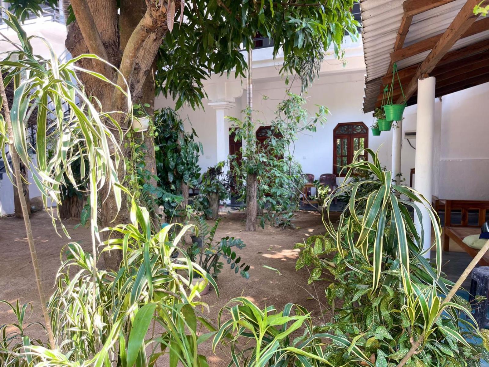 Arugambay Village Baía de Arugam Exterior foto